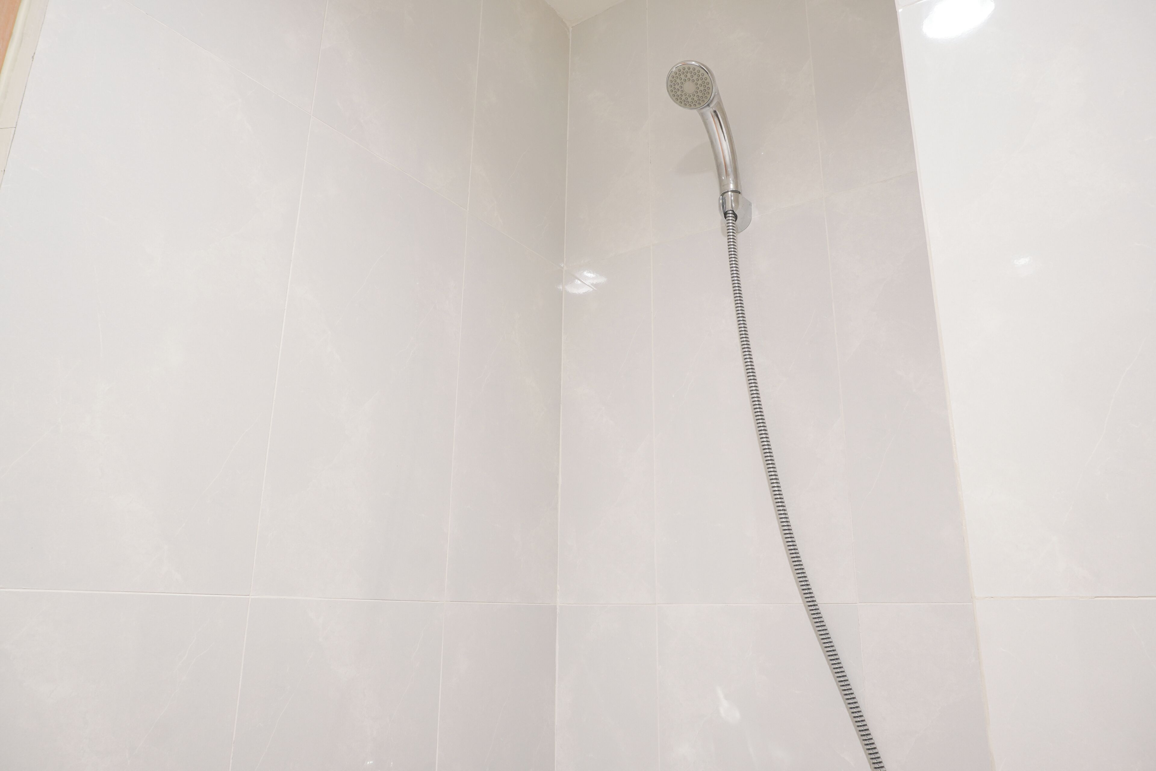 A shower with a handheld showerhead and a flexible hose.