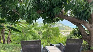 A table and two chairs under a tree in a lush outdoor setting. - Sleek & Sunny Island Studio | Kitchenette (St. Thomas)