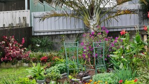 Un jardín con diversas plantas y flores, una reja metálica y un árbol.