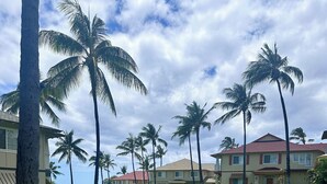 A well-maintained lawn with palm trees and a large building with a red roof.
