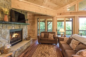 TV connectée, cheminée, livres