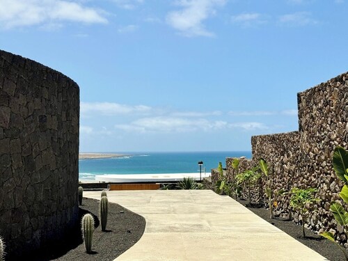 Canaryislandshost I Oliva II