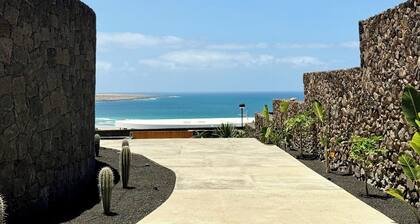 Canaryislandshost I Oliva II