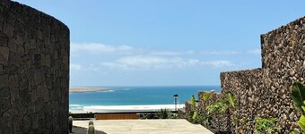 Canaryislandshost I Oliva II