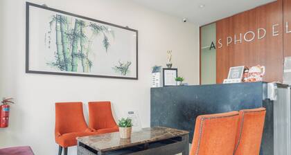 Asphodel Inn - Newly Renovated