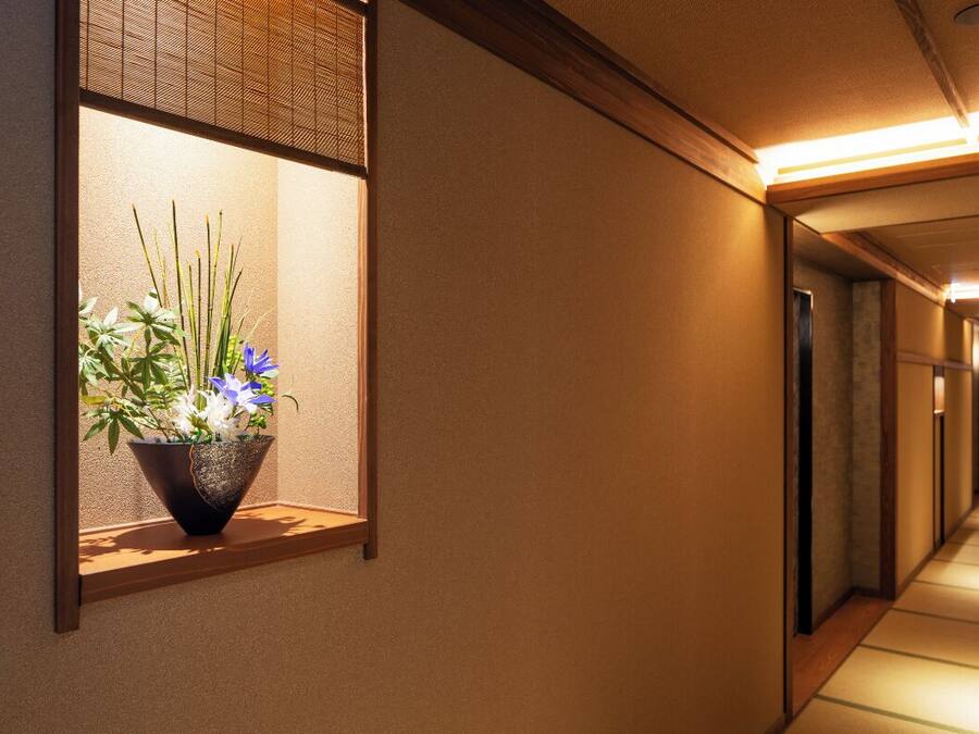 A hallway with a window displaying a plant.