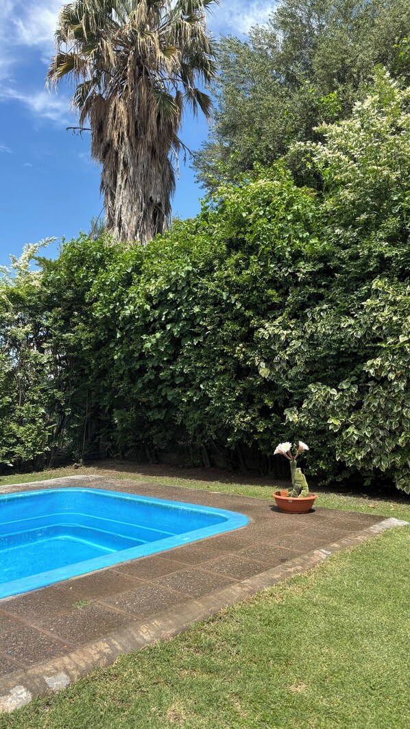 Una piscina rodeada de un césped cuidado y abundante vegetación.