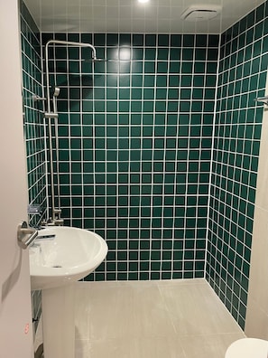 Ducha, secador de pelo, toallas, papel higiénico