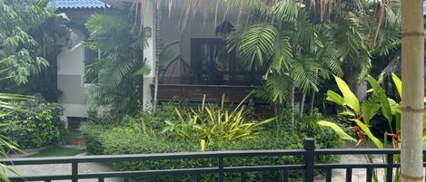 A tropical garden with a thatched roof structure, lush greenery, and a paved pathway.