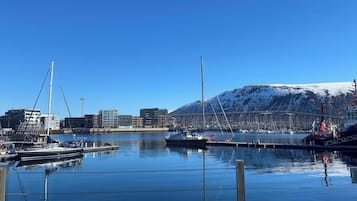 A marina with boats docked, a bridge in the background, and a snow-capped mountain.