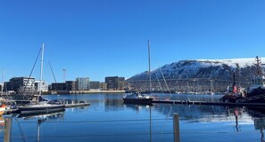 A marina with boats docked, a bridge in the background, and a snow-capped mountain.