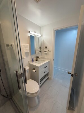 Shower, hair dryer, bidet, towels