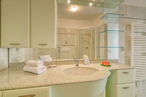 Shower, hair dryer, towels
