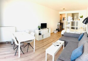 Fernseher, Arbeitsbereiche
