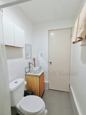 Shower, hair dryer, bidet, towels