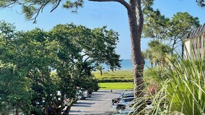 A tree-lined street with parked cars and a view of the ocean.
