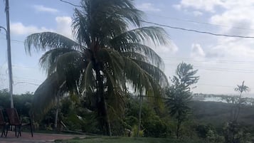 Alberca