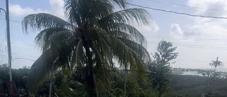 泳池