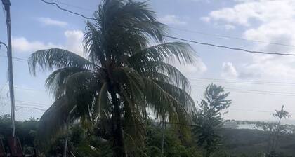 Cozy 1-bedroom apartment in adorable Tobago with AC, WiFi