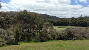 A rural landscape with rolling hills, dense vegetation, and a clear sky.
