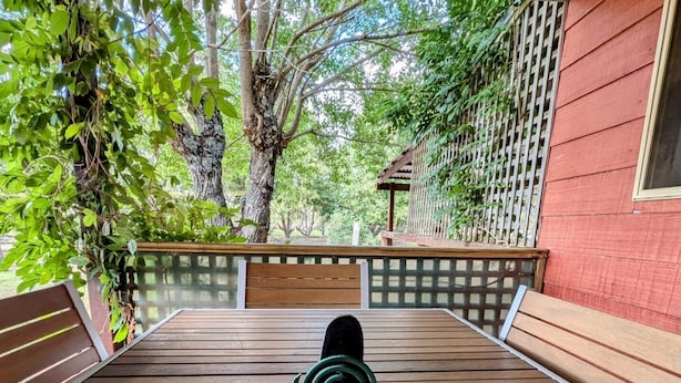 A wooden deck with a metal spiral object in the center, surrounded by greenery and a red building.