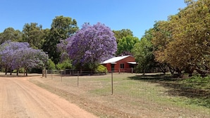 A rural road leading to a red house surrounded by trees with purple flowers.