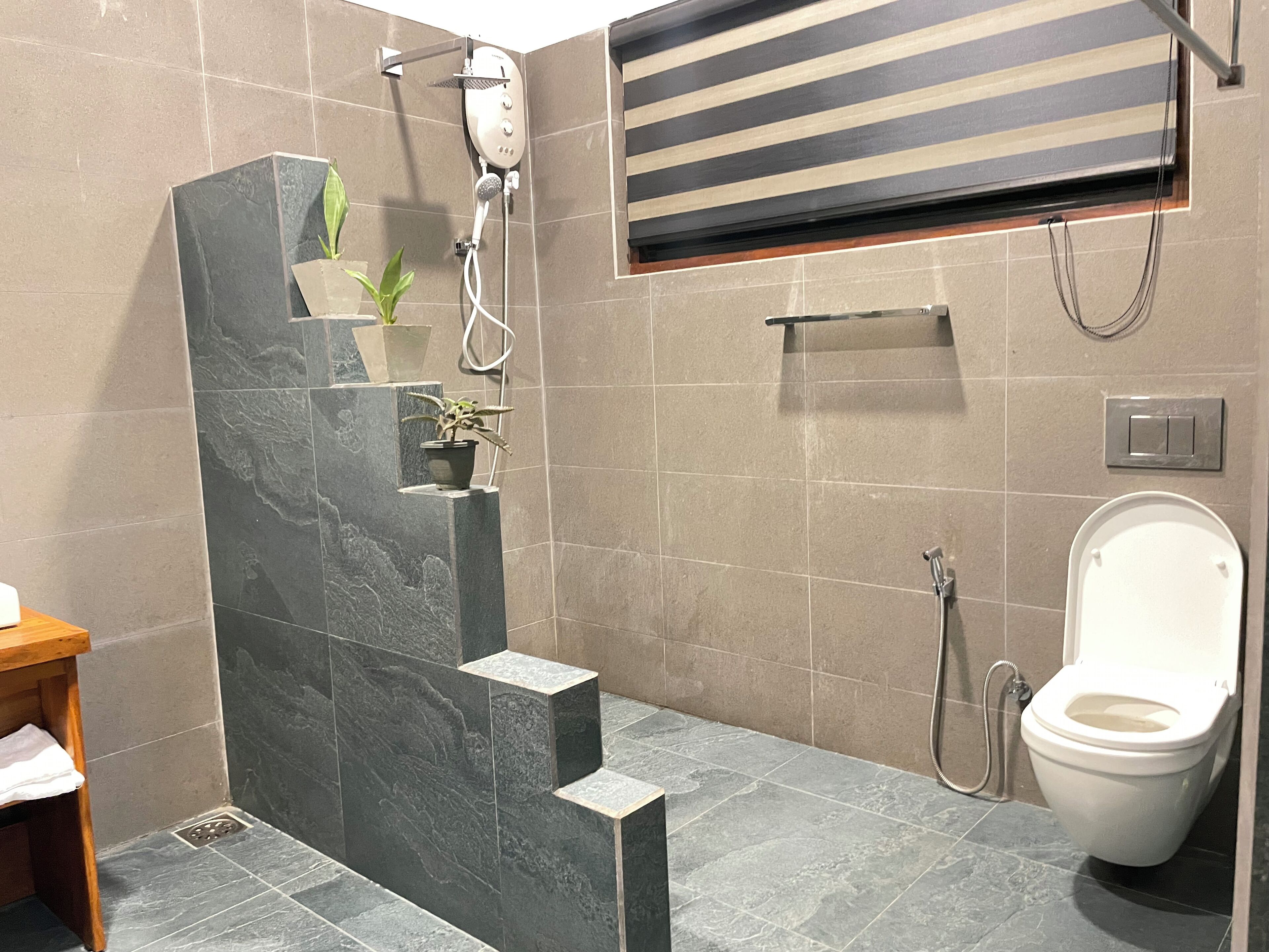 Un baño moderno con ducha, inodoro y una pequeña estantería con plantas.