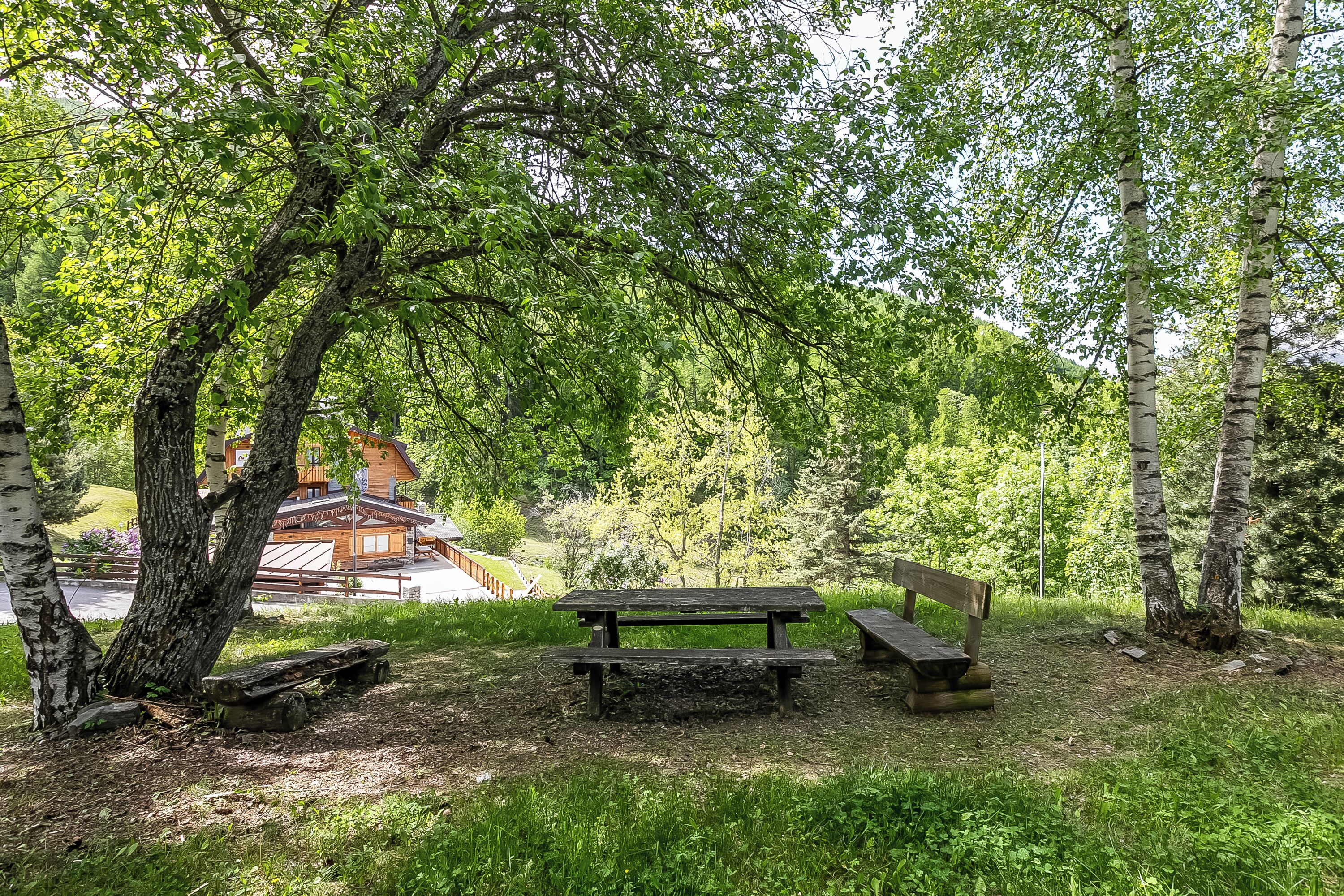 Un espace pique-nique avec des bancs et une table, entouré d’arbres et avec un bâtiment en arrière-plan.