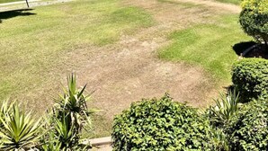 Zona exterior ben cuidada amb un cel clar, un camí pavimentat i diversos arbres, incloent palmeres.