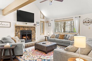 Télévision, cheminée, espaces bureaux