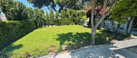 Área da propriedade