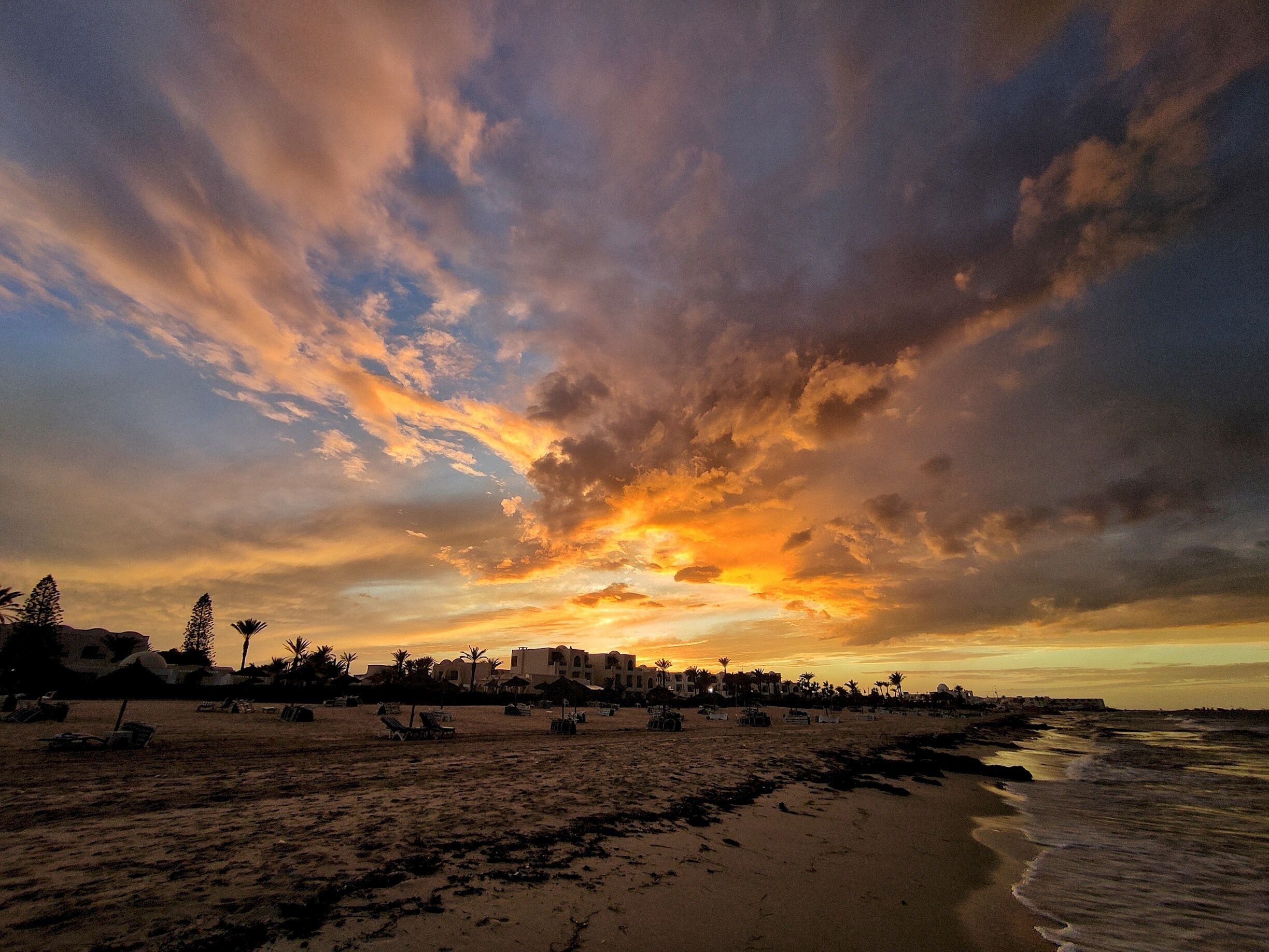 A beach with a sunset, palm trees, and buildings in the background.