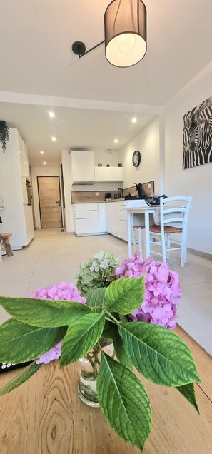 Interior - Le Nid du neuf, new, cosy, quiet, comfortable studio in the town center (Aix-les-Bains)