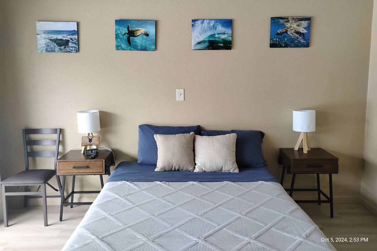Quarto com cama, duas mesas de cabeceira, uma cadeira e arte na parede retratando tartarugas marinhas.
