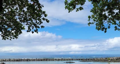 Plumeria Hilo Hotel