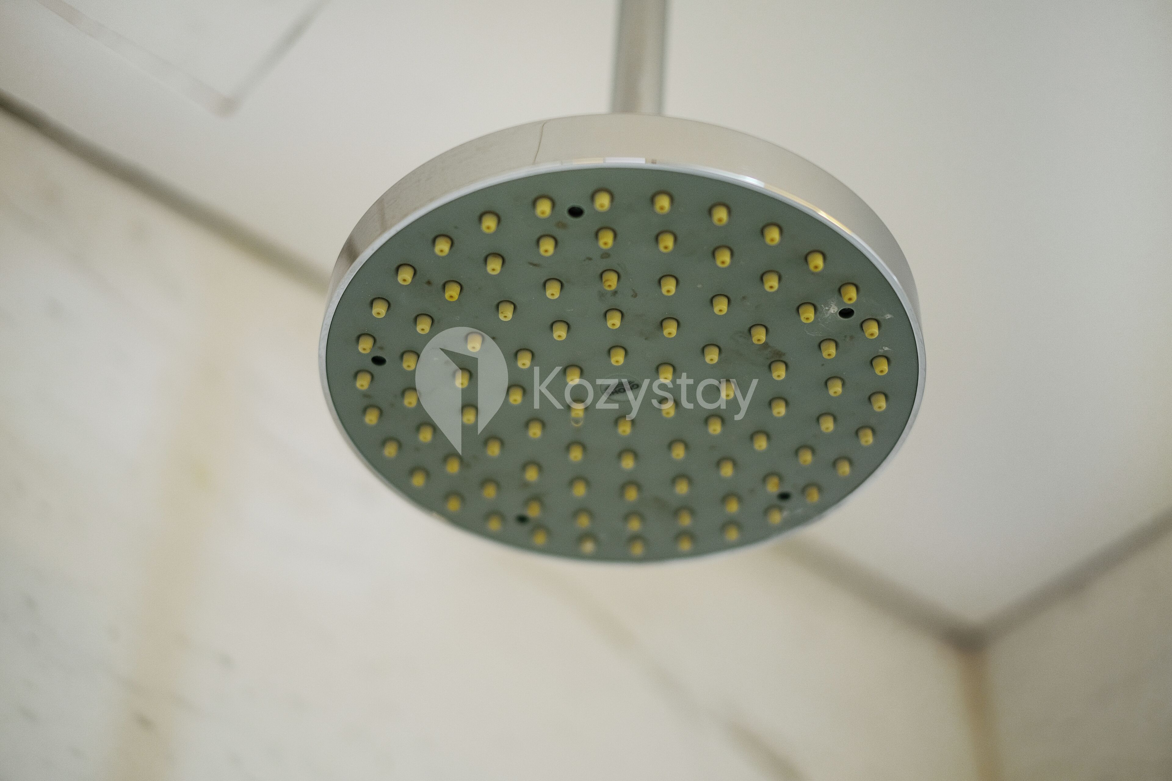 A showerhead with a circular design and multiple small holes.