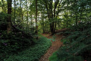 Property grounds - Beautiful apartment with balcony in wooded area (Soest)