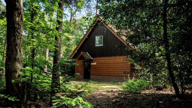 Une cabane avec une façade en bois, une porte et une fenêtre.