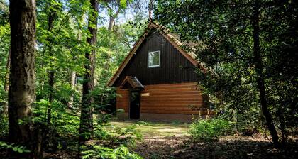 Beautiful apartment with balcony in wooded area