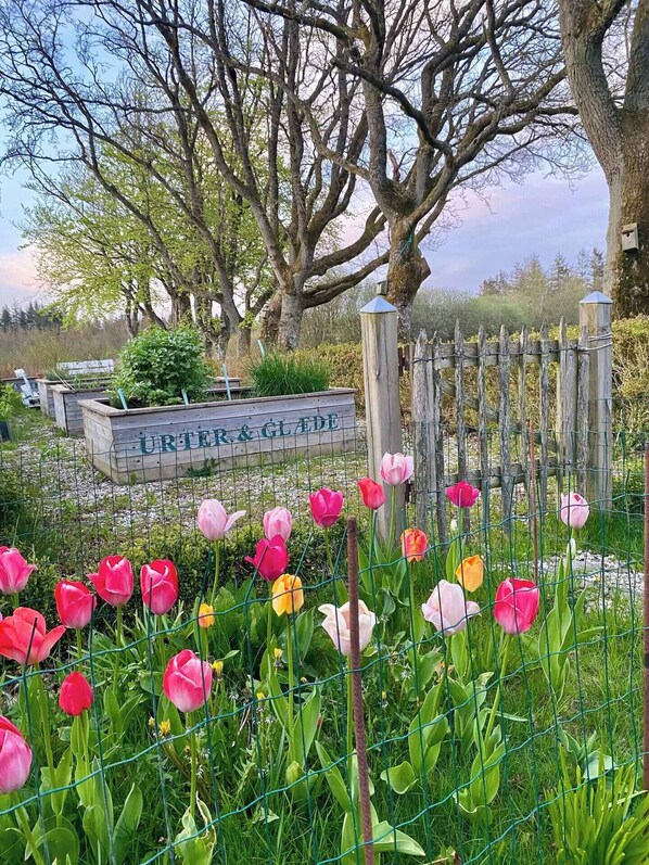 Áreas de la propiedad