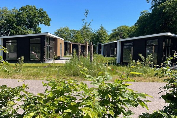 Terrain de l’hébergement 