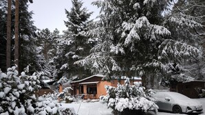 Ein Haus, umgeben von schneebedeckten Bäumen, mit einem Auto auf der Auffahrt.