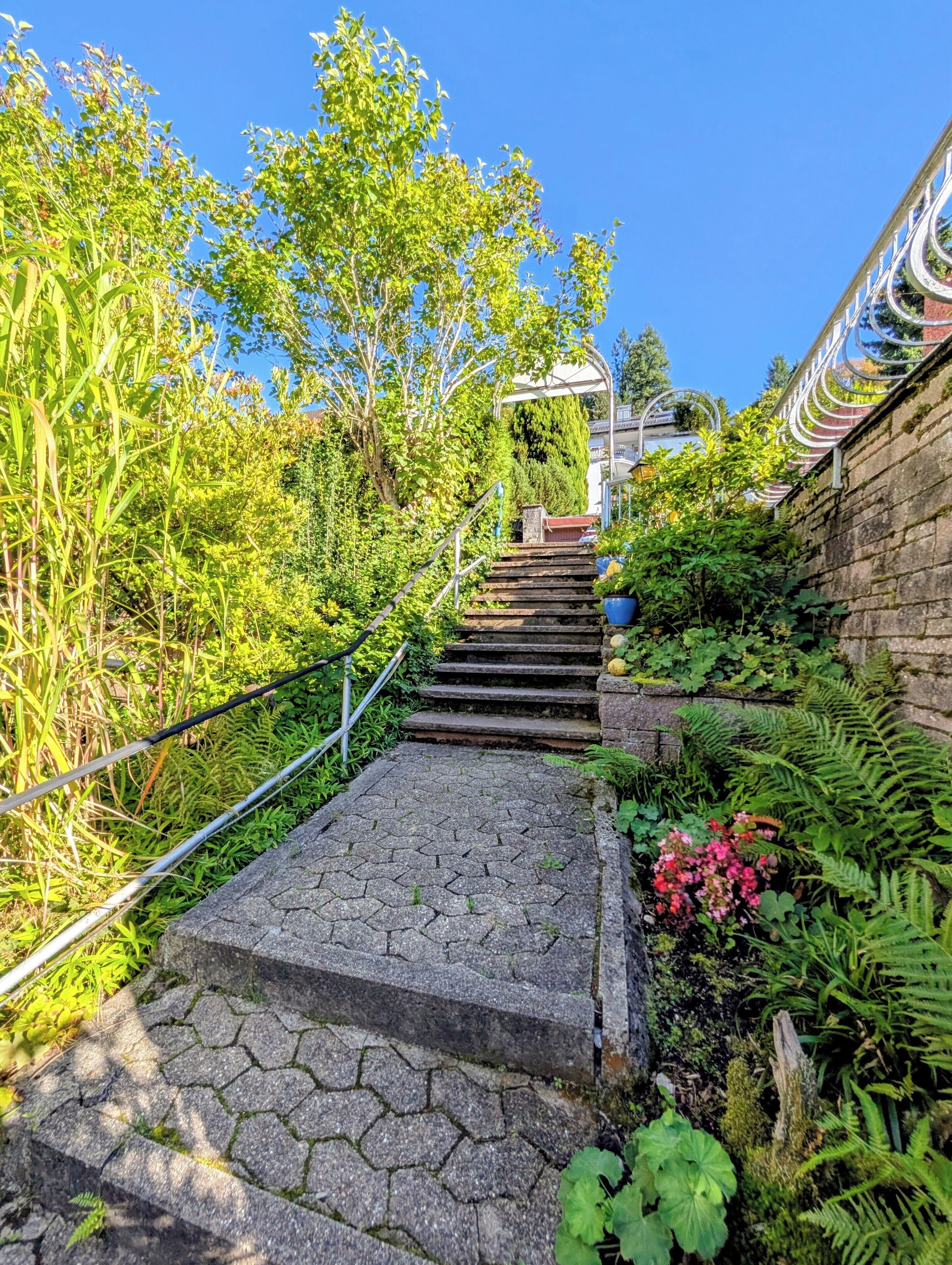 A stone staircase leading up to a white building with a curved roof, surrounded by lush greenery and ferns.