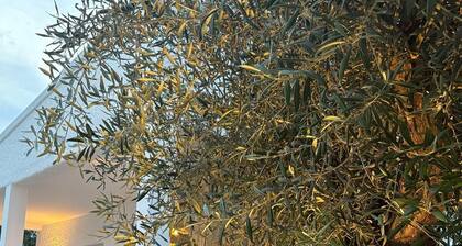 Finca La Cañada Santa Pola. -Villas with private swimming pool - Villa 3 bedrooms