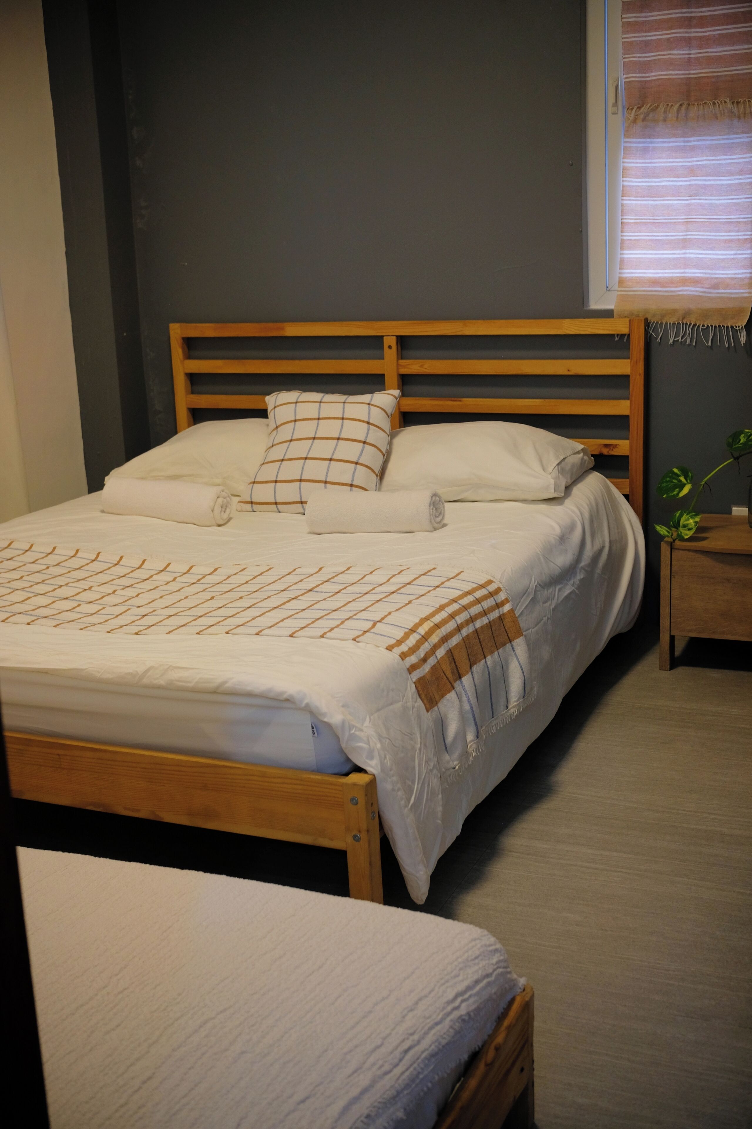 A single bed with a wooden frame, a bedside table with a plant, and a window with blinds.