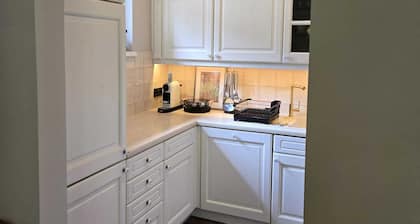 New renovated apartment with flair