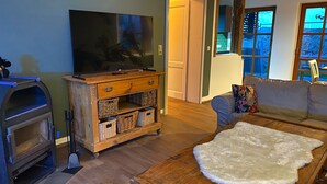 Un salon avec un téléviseur posé sur un meuble en bois, une cheminée, un canapé et un tapis.