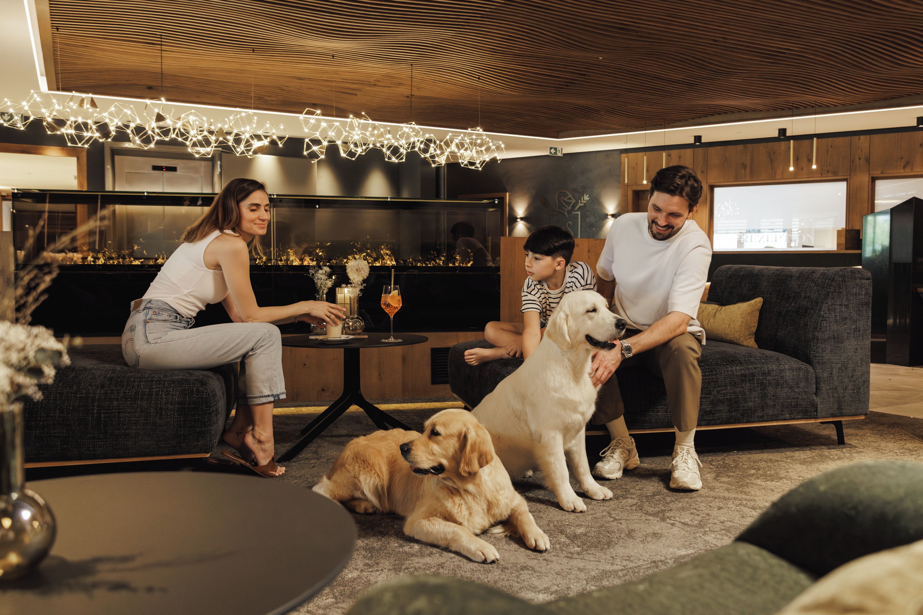 A modern living room with a sofa, a coffee table, and two dogs.