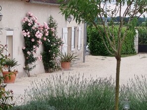 Áreas de la propiedad