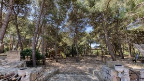 A stone pathway leading through a wooded area with trees and a wooden structure in the background.